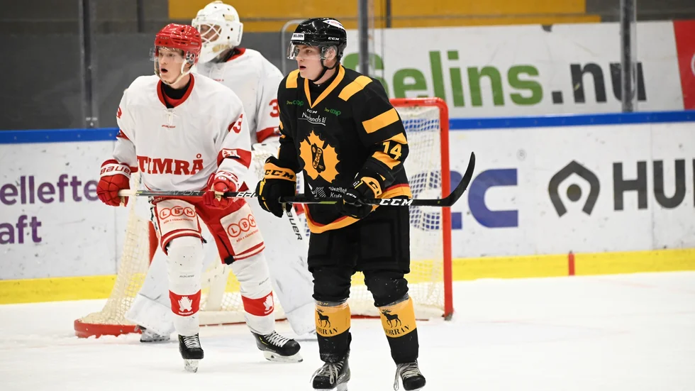 Det blev vinst och förlust för Skellefteå AIK under helgen.