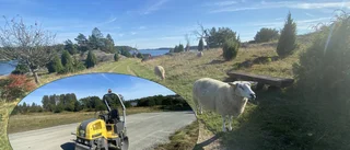 Nu ska det bli lättare att parkera bilen för besök i naturreservat