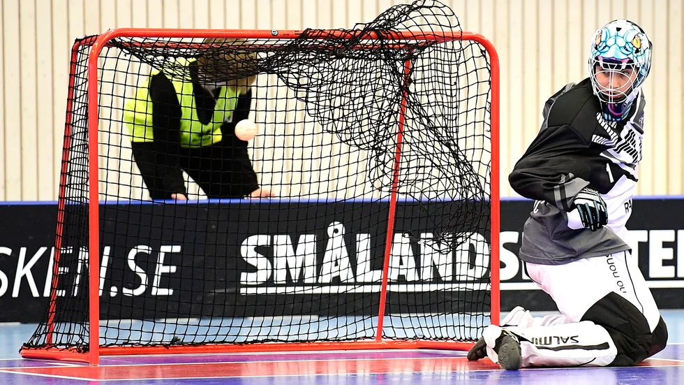 Edin Omanovic har spelat i superligan för Växjö. Nu förstärker han Ledberg i division 1 till kommande säsong. 