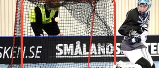 Ledberg värvar meriterad målvakt från superligan