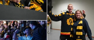 Vimmel: Se vilka som var på plats på läktarna när Skellefteå AIK mötte Timrå