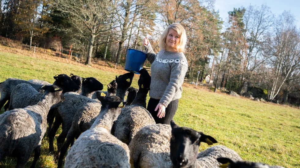 "Jag vill inte ha djur som springer iväg när de ser mig, så jag är med fåren väldigt mycket och alla 45 har sina egna namn", säger Elin Wallberg.
