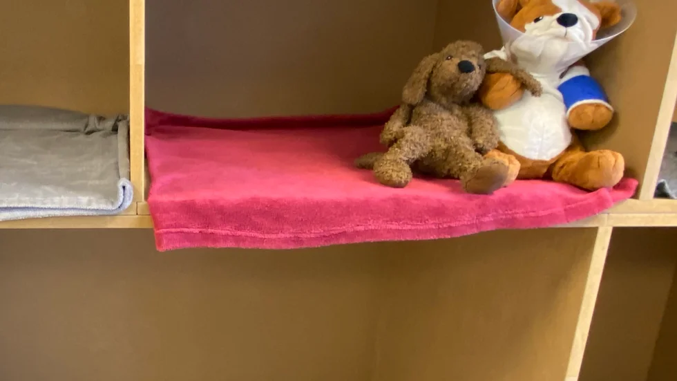 Hunden som kom till Distriktsveterinärerna i Eskilstuna efter sin död, hade kunnat räddas, hävdar en veterinär.