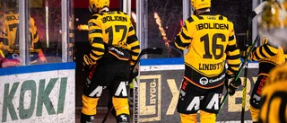 Spelarbetyg: AIK nollades av Luleå – se alla betyg här: "Alldeles för osynliga offensivt"