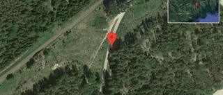 Fallna träd skapar problem i trafiken på väg 778