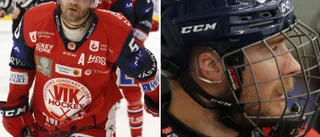 Två vildhundar från Kanada visade vägen – nu lever VIK