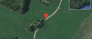 Fallna träd skapar problem i trafiken på väg 615