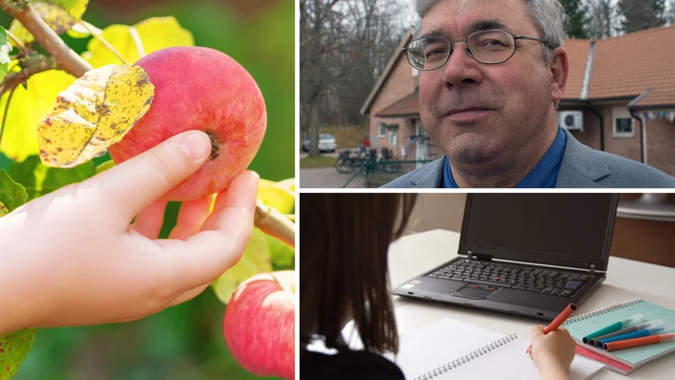 Peter Karlberg och partikollegorna i V vill bland annat ha en ätbar park och läxfri fritid.