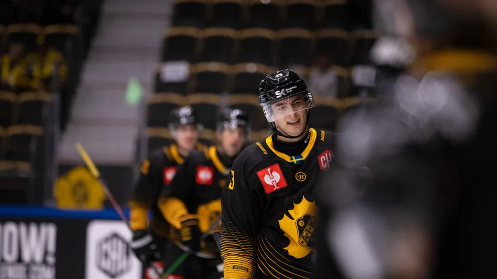 Stefan Loibl jublar efter att ha gjort 3-0 för AIK.