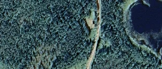 Ny ägare till skog i Niemisel i juni