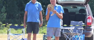 Skippa SM och lägg kraften på att uppdatera er