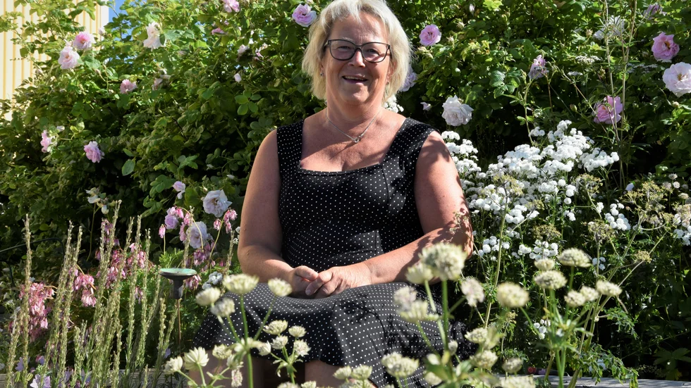 På Catarinas tomt växer en massa blommor, hon beskriver att blommorna varit som terapi för henne.