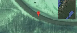 Renar på vägen på E10