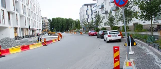 Skövlad mångfald i Rosendal   