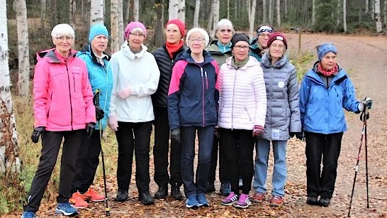 PRO Överkalix promenagrupp. Tidigare i oktober var det dessa damer som var ute: Karin Kvist, Ingegerd Larsson, Evy Rova, Sonja Andersson, Elsa Nilsson, Ingrid Fagervall, Astrid Wikström, Ulla Wennberg, Else-Maj Lindskog, Maj-Britt Rova.  
