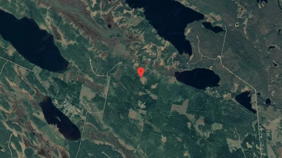 Ny ägare till skogsmark i Malå kommun