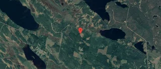 Ny ägare till skogsmark i Malå kommun
