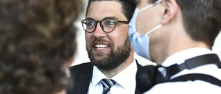 Jimmie Åkesson är nöjd nu – tack vare Vänsterpartiet