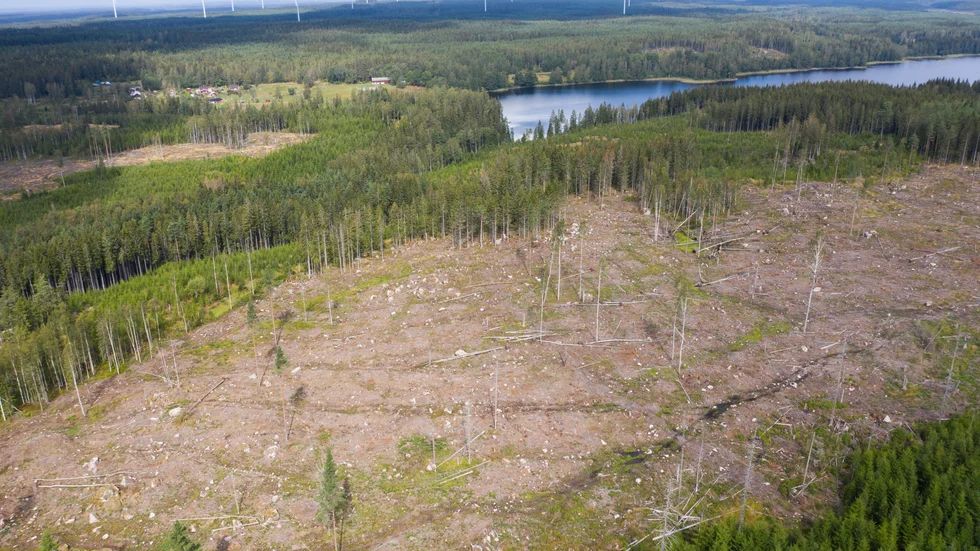 Björn Mildh vill se oss prioritera om och inte tillåta att Norrbotten blir en koloni där gammelskogar försvinner, strömmande vatten binds och mineraler urholkas ur våra marker. 