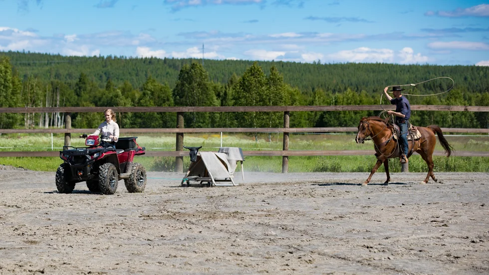 Roaping är en sport inom westernridningen där man helt enkelt ska kunna hantera ett lasso från hästryggen med allt vad det innebär. 