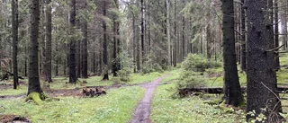 Sörmland får för lite för att sköta våra naturreservat