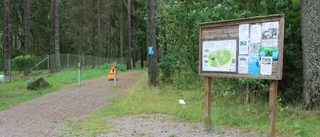 Skog vid motionsspår måste fällas: "Mest omfattande angreppet i år"