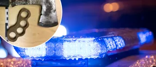 Misstanken: "Galen" man grep efter yxa – "Han fick en ide om suicide by cop"