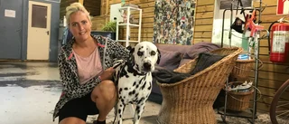 Hög efterfrågan på Nyköpings hunddagisplatser: "Börjar bli lång kö"