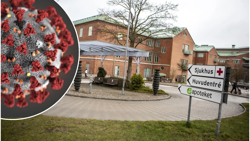 Coronavirus
