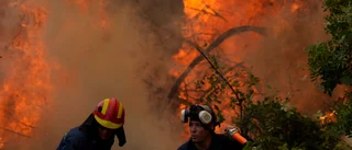 Mitsotakis ber om ursäkt för grekisk brandkris