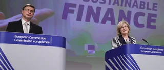 EU vill dröja med nya bankkrav