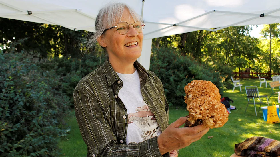 Kantareller i all ära men det finns så mycket mer ätbar svamp i skogen, menar svampkonsulent Gunilla Ångström Balla. Varför inte en maffig och god blomkålssvamp?