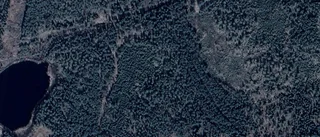 Nya ägarna ärver gården på Stora Risdal Änghult i Gamleby