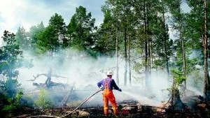 Skogsbrand utanför Rumma. Räddningstjänsten från Ankarsrum och Hjorted var snabbt på plats och släckte branden tack vare kustbevakningens flygpersonal som upptäckt branden. Foto: MARGARETA LJUNGBLAD