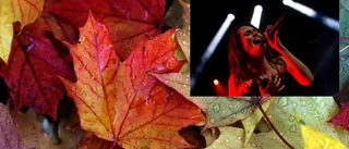 Hösten är lika med symfonimetal