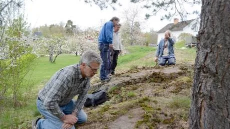 Sven-Gunnar Broström, Kenneth Ihrestam, Joakim Goldhahn och Roger Wikell hittade fler skålgropar direkt. De vet precis var man ska leta.Foto: Hans Brandin