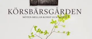 Körsbärsgården i bokform