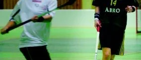 Lena målade för AIK