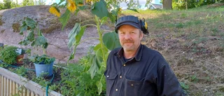 Skräck för potatiskräfta – har haft det i mer än 50 år