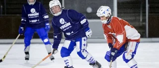 IFK-veteraner åter i SM