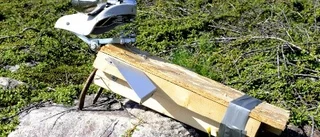 Hundfamilj vid stora infartsrondellen