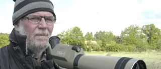 Sällsynta gäster flög in över Uknö