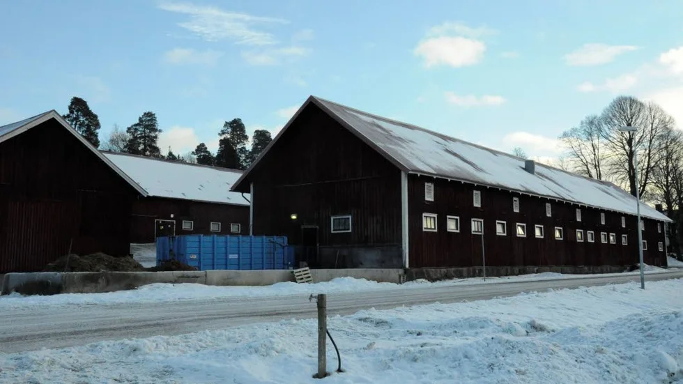 Väntar på underhåll. Stallen och ridhusen i Målserum är i skriande behov av underhåll.
