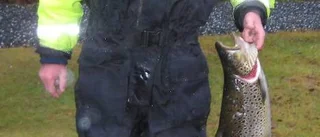 Sven-Ivar fick fin fångst i nätet