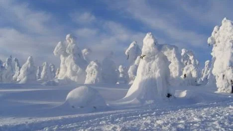 Snöspöken? En mäktig och märklig vinterbild från Akkanålke, Arvidsjaur.