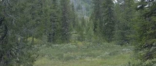 Kommunledningen tveksam till nya naturreservat