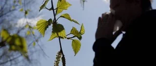 Pollensäsongen i antågande i norr
