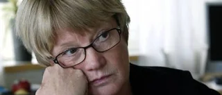 Stort behov av försörjningsstöd