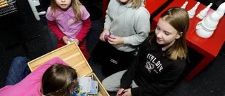 Skrinnande holländare ska lockas till Piteå