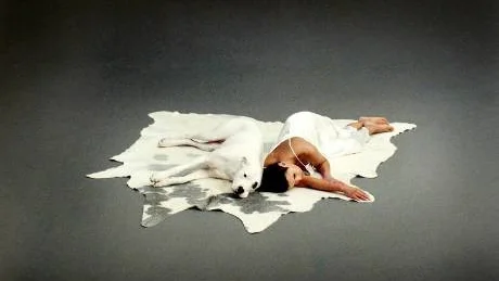 STILL LIVES 2. Maria Friberg.